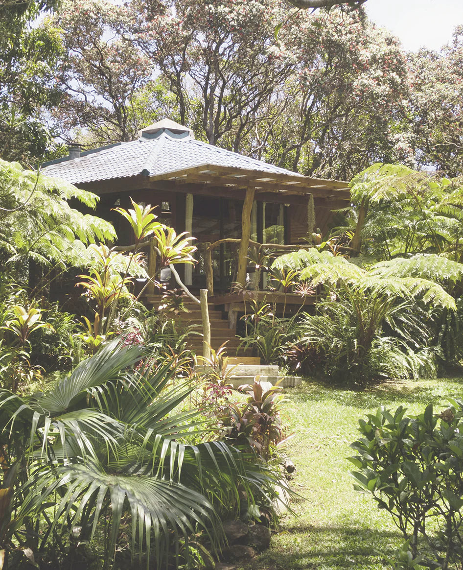 <em>AWAPUHI BOEDERIJ</em>