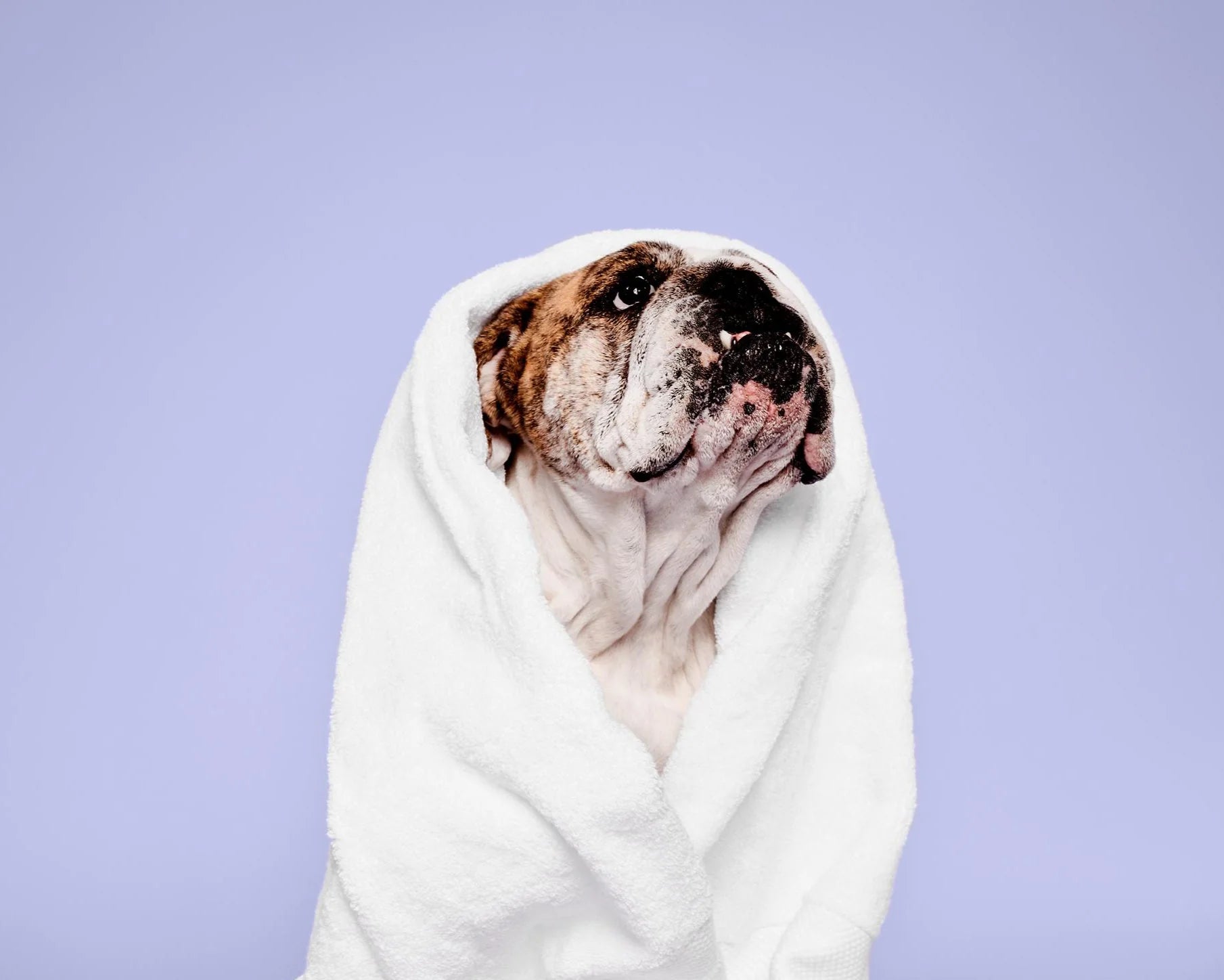 <em>EEN COMPLETE COLLECTIE VOOR VERWENDE VIJVERS</em>