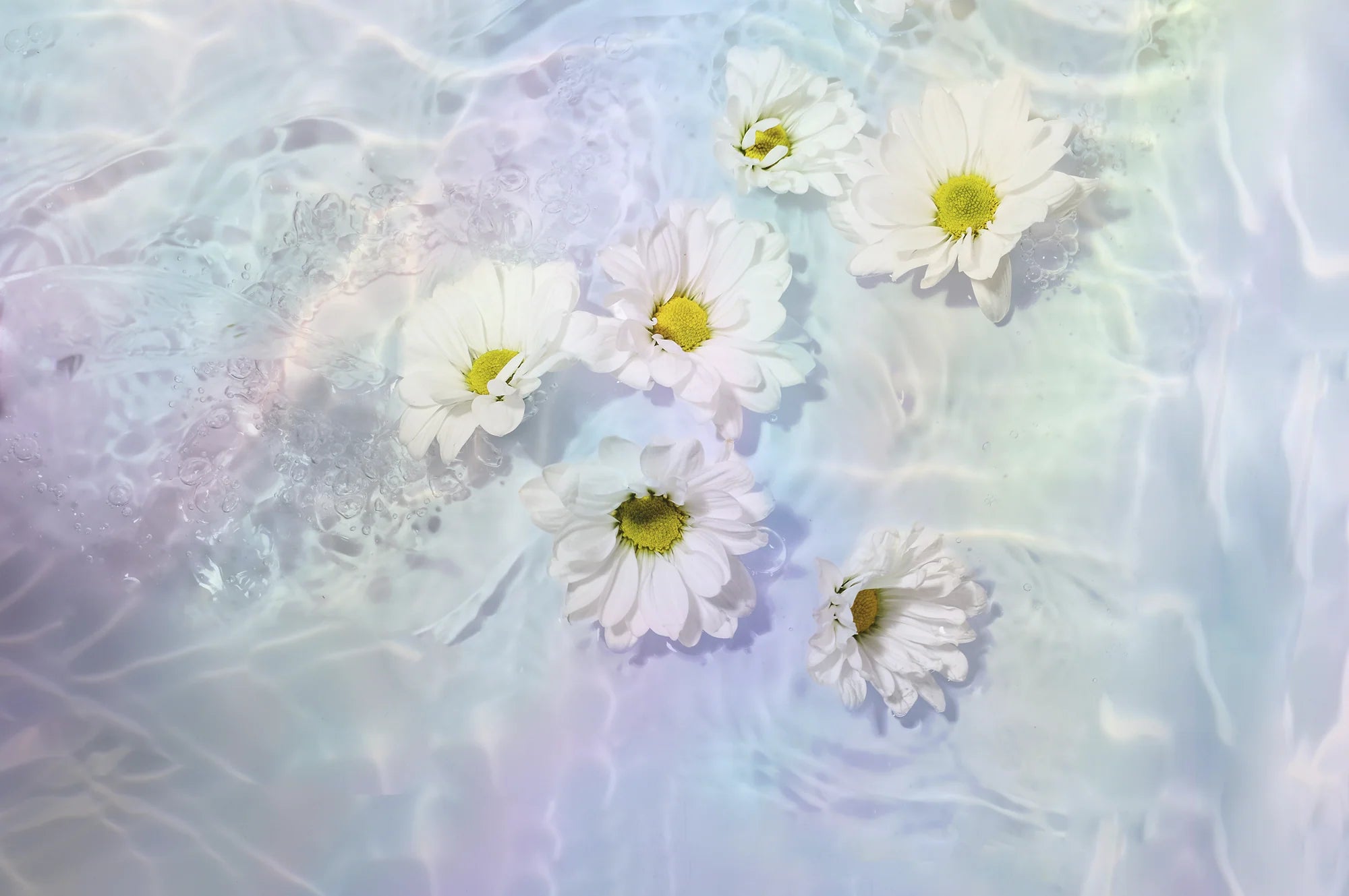 <em>De kracht van Clean Beauty</em>