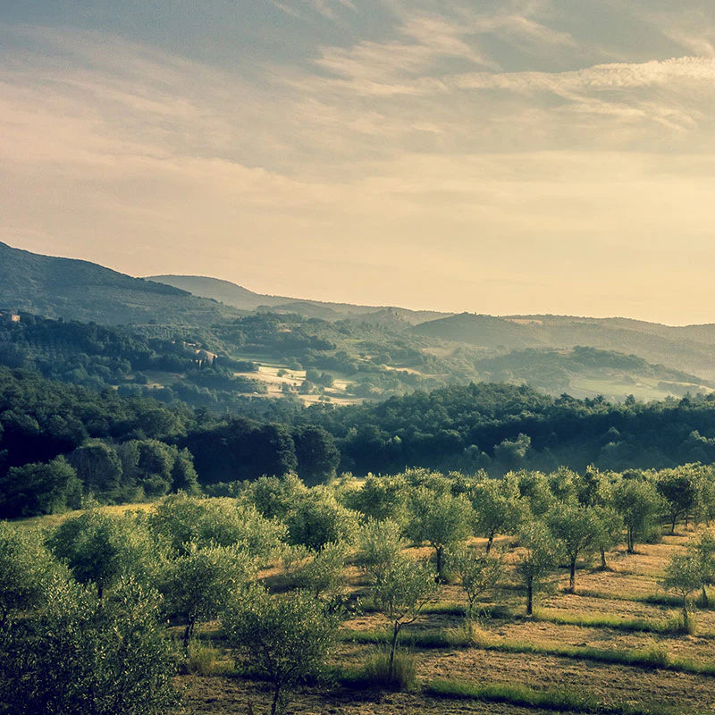 <em>ONZE LANGE TRADITIE VAN TERUGGEVEN EN ZORG VOOR DE AARDE</em>