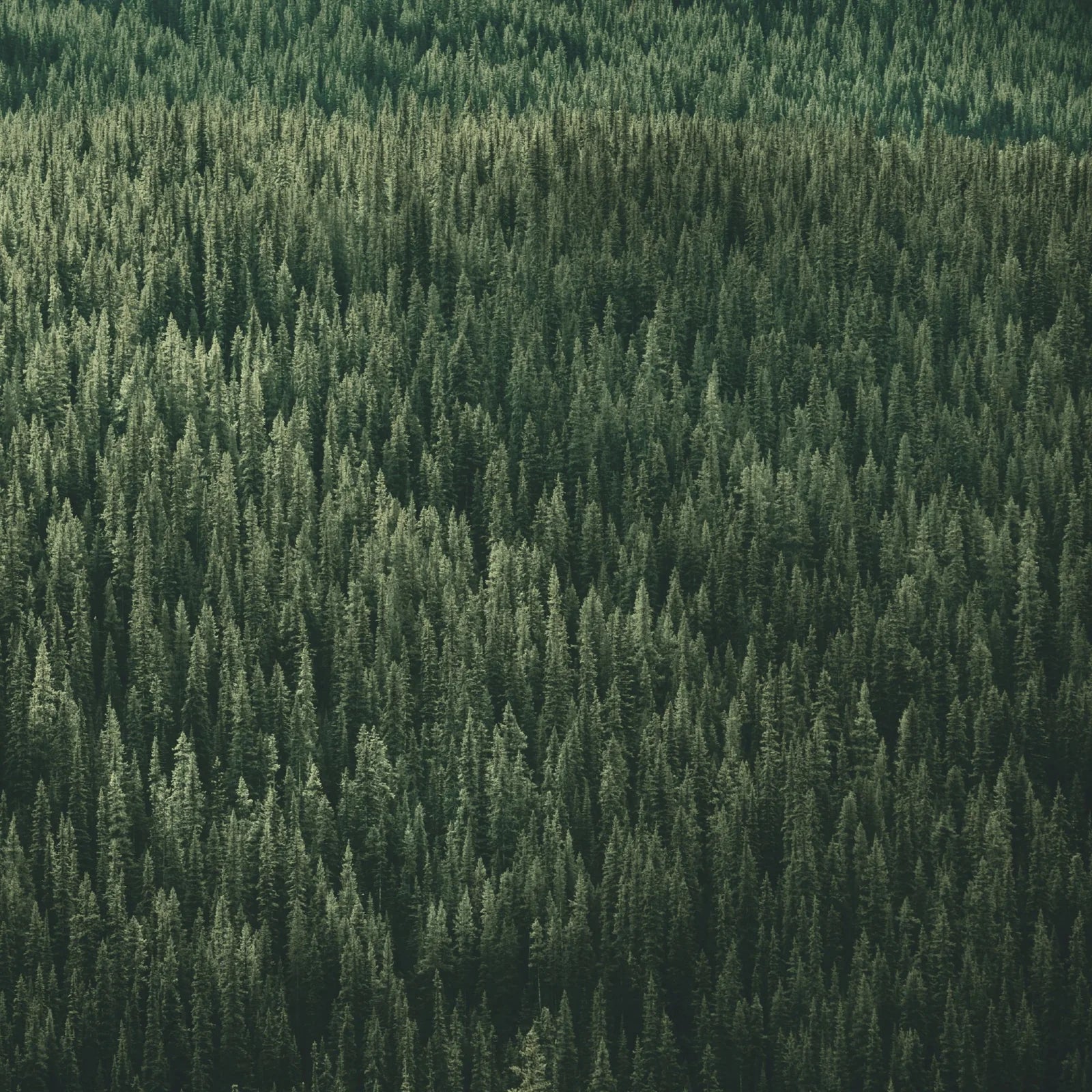 Onze ecologische voetafdruk verkleinen