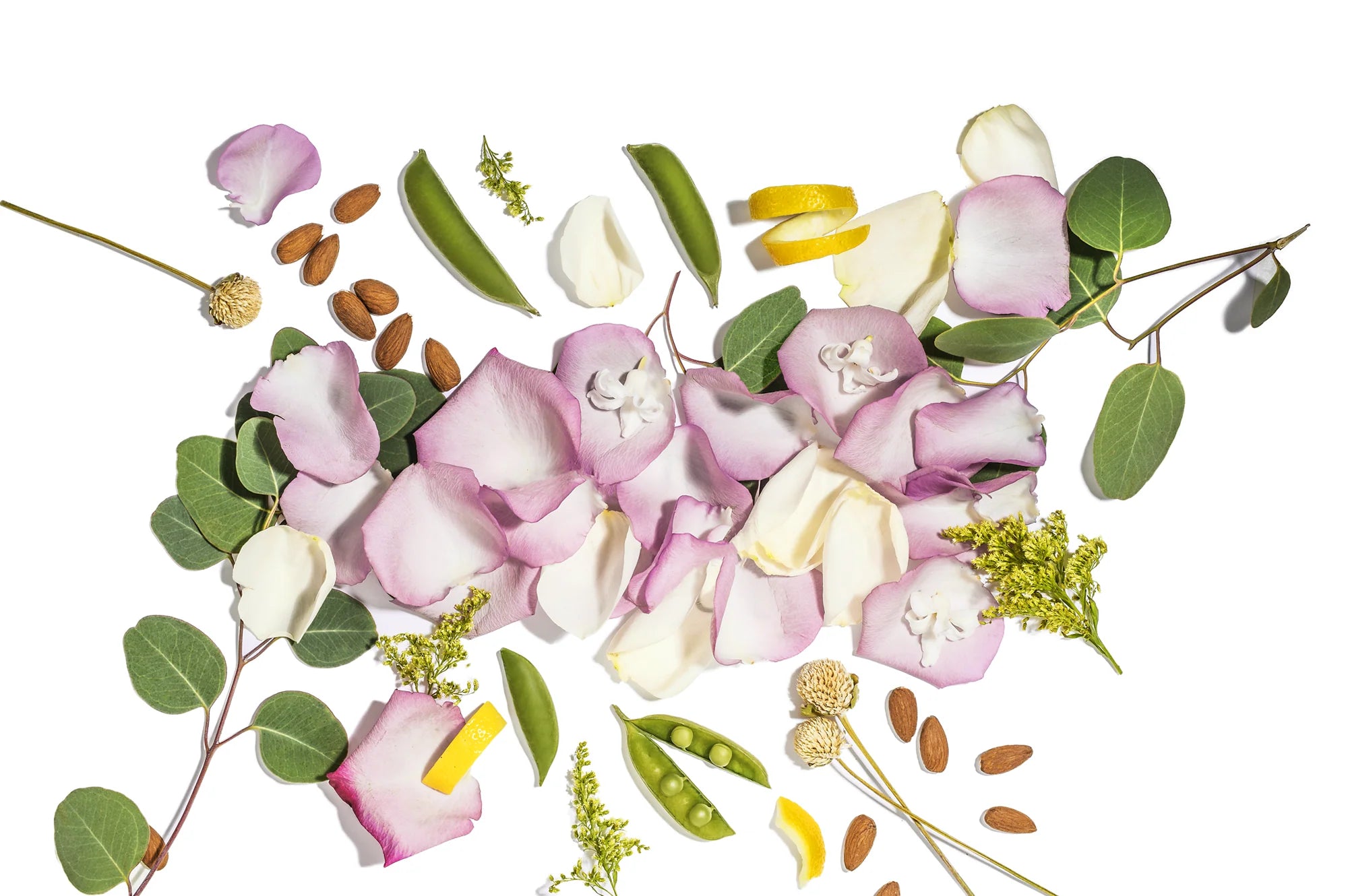 <em>CLEAN BEAUTY-PRODUCTEN BEVATTEN FUNCTIONELE PLANTEEXTRACTEN MET EEN HOOG AANDEEL INGREDIËNTEN VAN NATUURLIJKE OORSPRONG.</em>