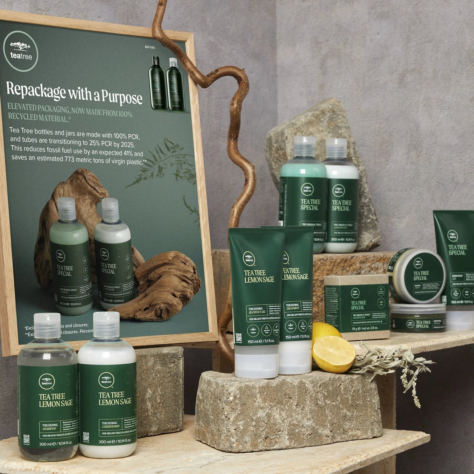 <em>WAT JPMS DOET</em>