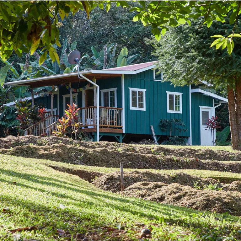 Awapuhi Boederij